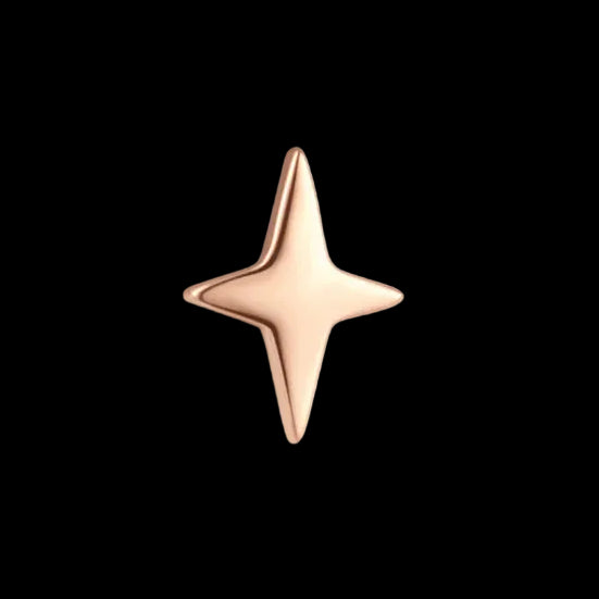 4 Point Star Polished RG