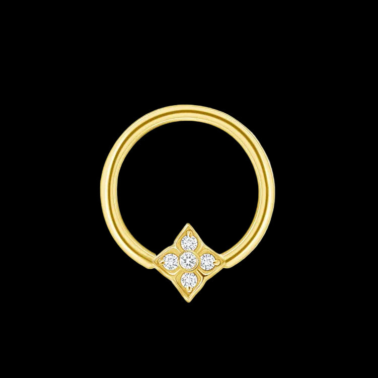 "Emory" CZ 18g 5/16 YG Seamring