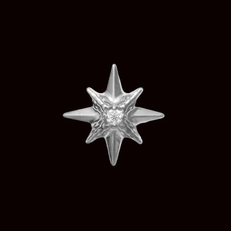 "Shine" CZ Ti.
