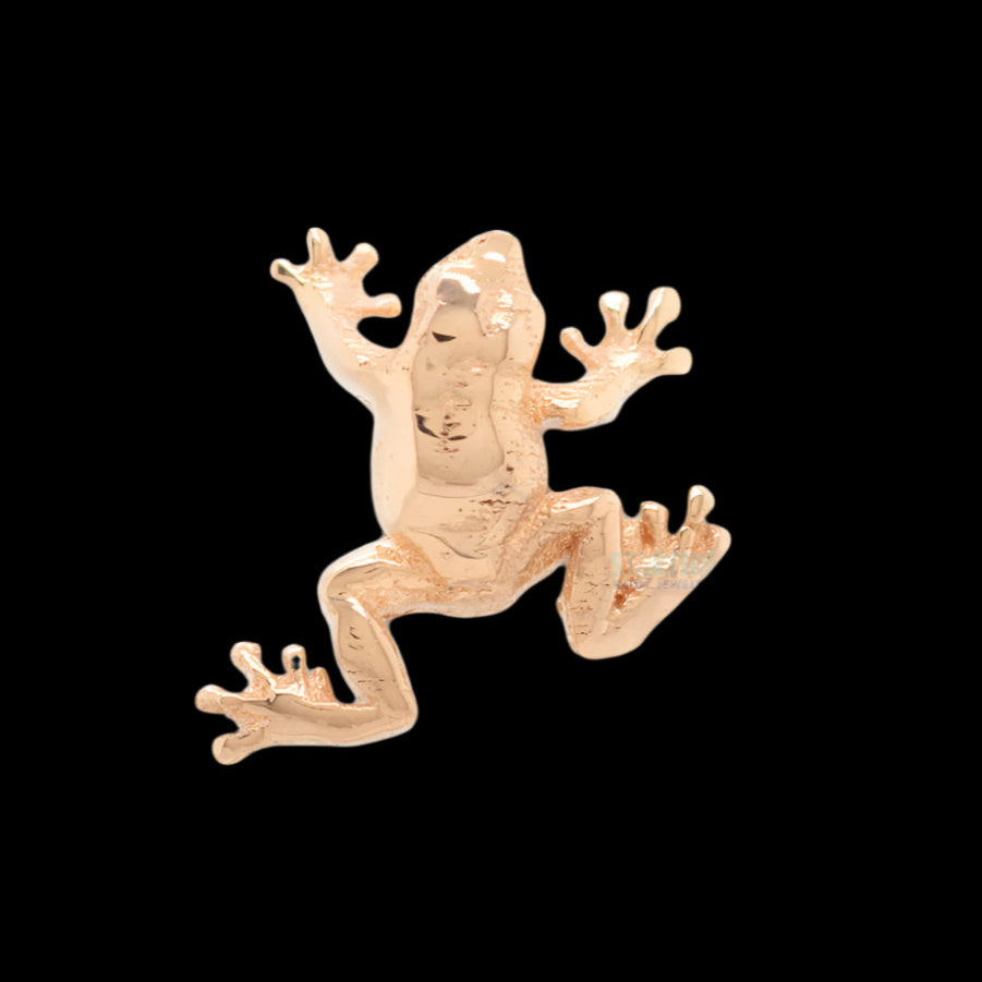 "Treefrog" RG