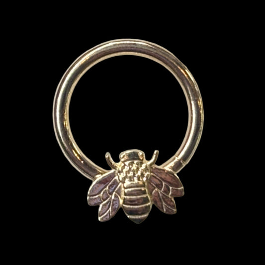 "Bees!" YG Seamring