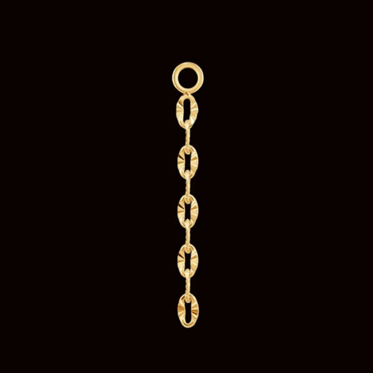 "Diamond Cut Tail" 14k YG Charm