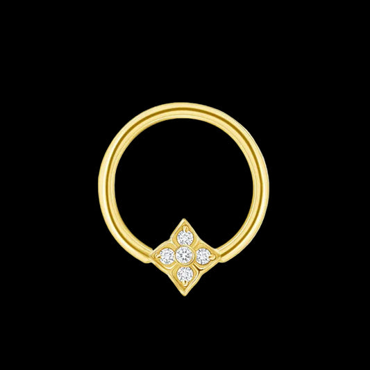 "Emory" CZ 11/32 YG Seamring