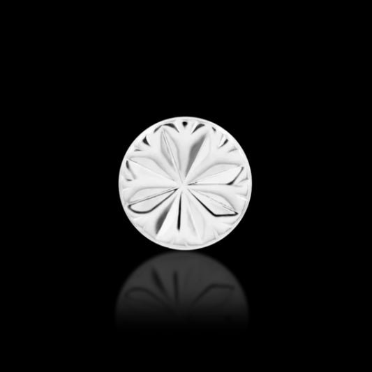 2m Engraved Disk WG