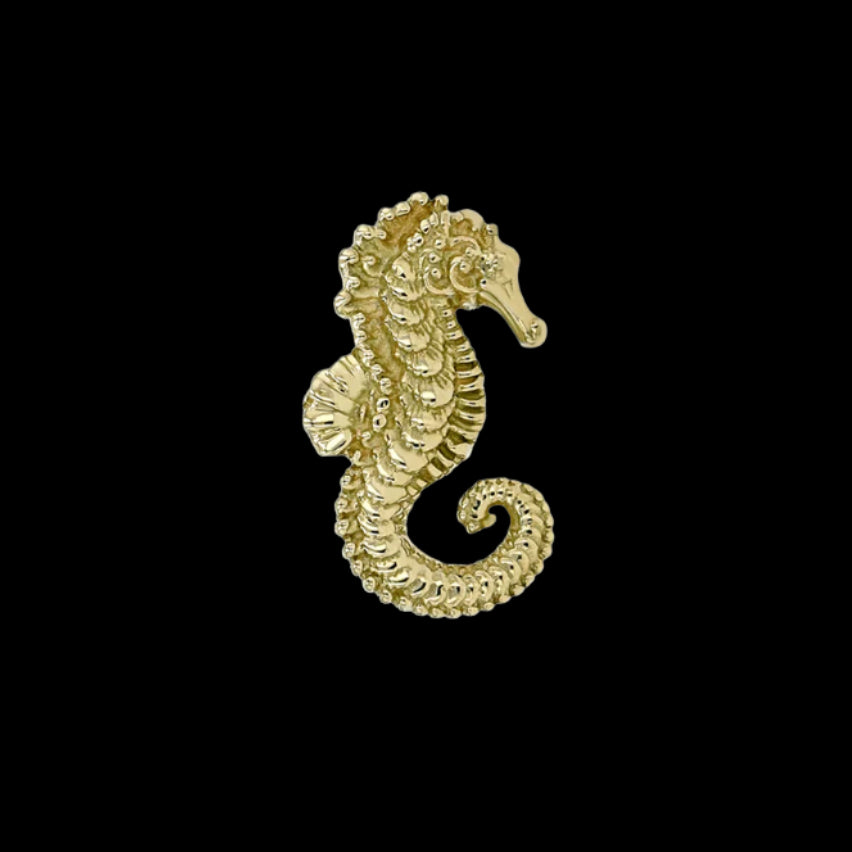"Seahorse"(right) YG