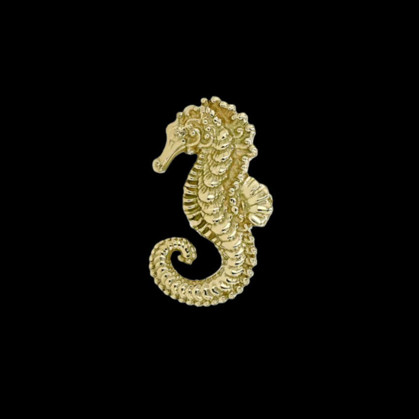 "Seahorse"(left) YG