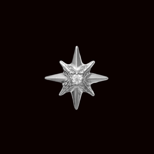 "Shine" CZ Ti.